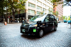 toyotama_photo (802 - 963)